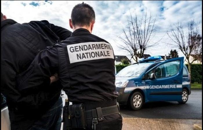 Landes – Pyrénées-Atlantiques – Serie von Diebstählen durch Tricks in Sporthallen: Die Gendarmerie macht den Taten eines Mannes mit zwanghaftem Spielverhalten ein Ende