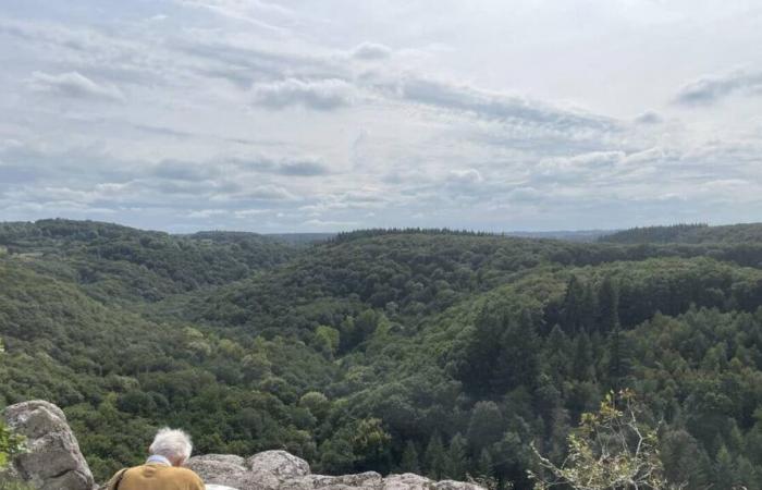 Welche touristischen Ergebnisse gibt es für das Gebiet von Flers agglo in diesem Jahr 2024?