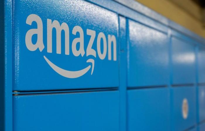 Amazon testet die kostenlose Lieferung von Büchern und verärgert Buchhändler (noch mehr)