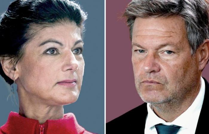 BSW-Chefin Wagenknecht: „In Habecks Kandidatur zeigt sich die grüne Hybris, die unser Land tief gespalten hat“