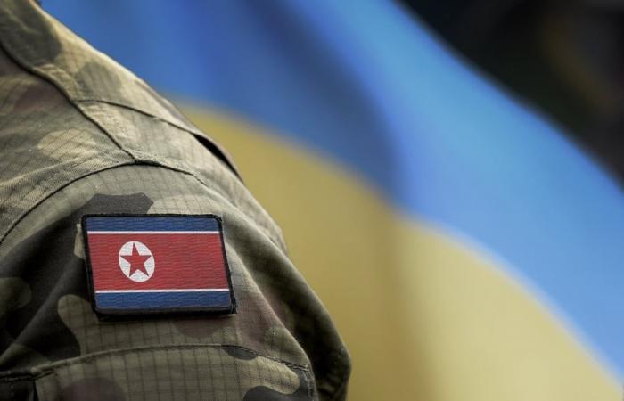 Nordkoreanische Soldaten in Russland: Was sagt das Völkerrecht?