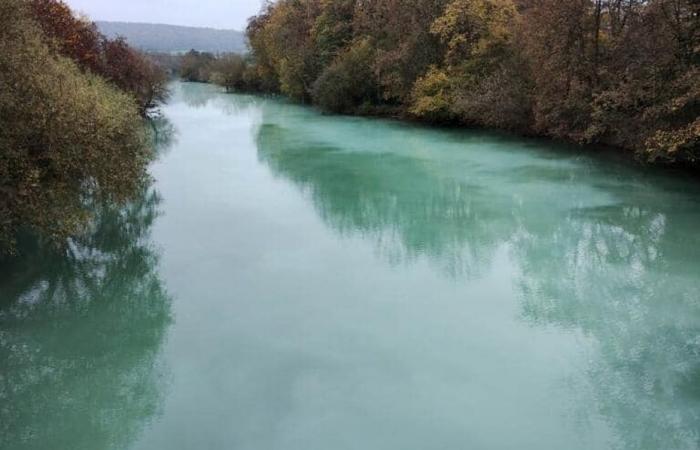 Zwei Tonnen flüssiger Latex wurden von einer Automobilfabrik verschüttet