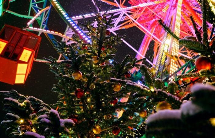 KARTE. Hier ist die Liste der Weihnachtsmärkte im Norden und im Pas-de-Calais 2024