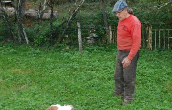 Habe geschworen. In Mesnay greift der Luchs drei Zwergziegen und zwei Schafe an