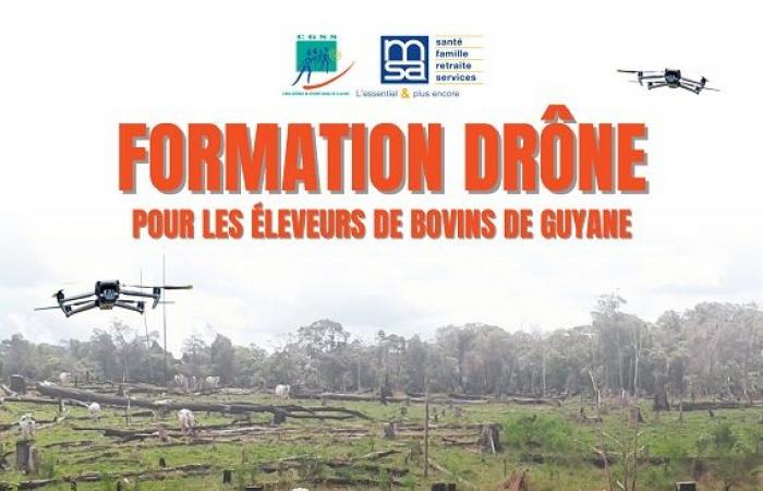 Blada.com – Bürgerinformationen – Drohnentraining für Landwirte, eine Premiere in Guyana!