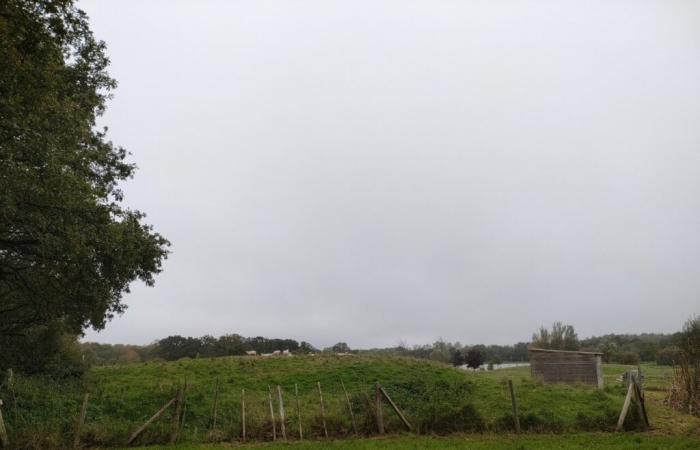 Wie wird das Wetter in der Vendée am Wochenende des 9. und 10. November sein?