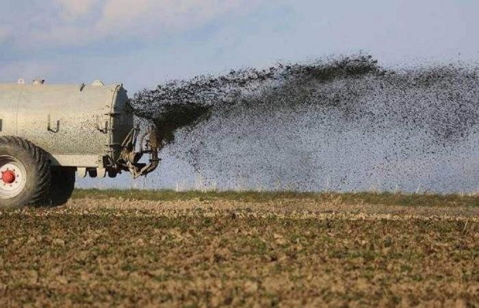 Die Landwirtschaft gewinnt in der algerischen Wirtschaft zunehmend an Bedeutung