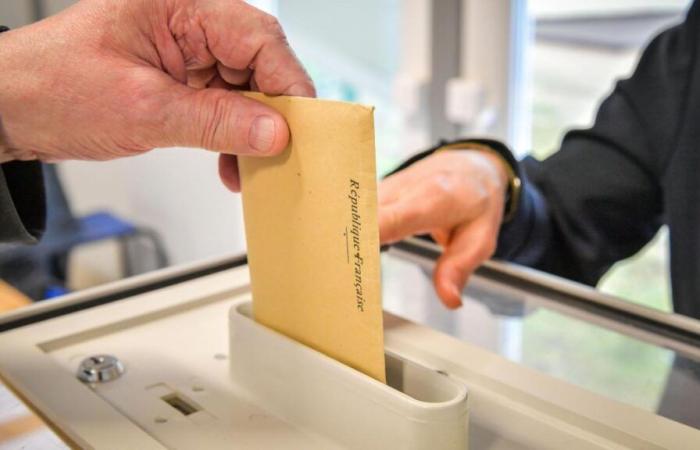 Wer sind die Kandidaten im 1. Wahlkreis der Ardennen?