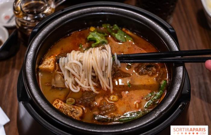 Ten Seconds Noodle, das köstliche chinesische Nudelrestaurant in zehn Sekunden, Paris 13