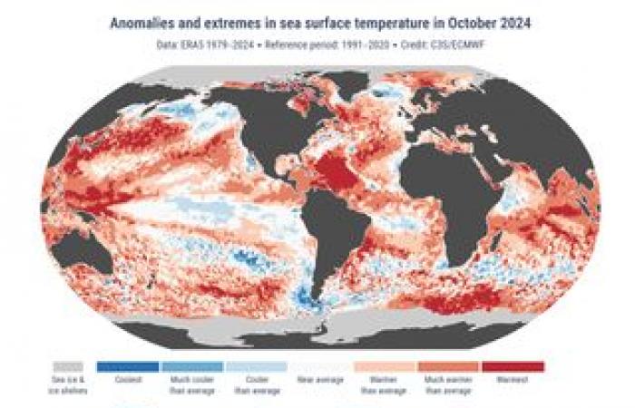 Neueste Prognoseaktualisierung für das Wochenende. Wird die Sonne endlich in den Norden Frankreichs zurückkehren?