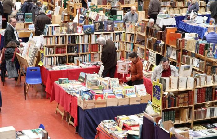 Glouglous, Pilze, Antiquitäten, alte Bücher … Fünf Ausflugsideen für dieses Wochenende in der Dordogne