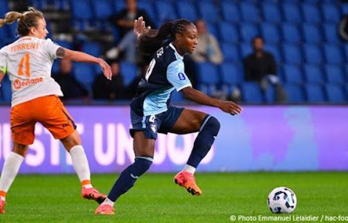 Statistiken vor dem Spiel zwischen Havre AC und Stade de Reims