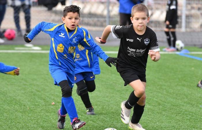 Am Montag findet auf sechs Spielfeldern im Aveyron wieder Fußballweihnacht statt