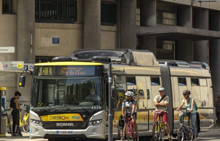 Ein Straßenbahnfahrer griff mit einer Tränengaskartusche an