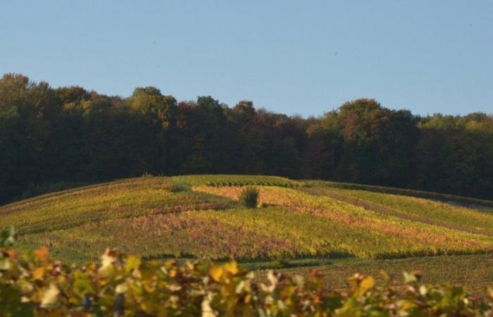 Wie ist das Wetter an diesem Wochenende in der Marne?