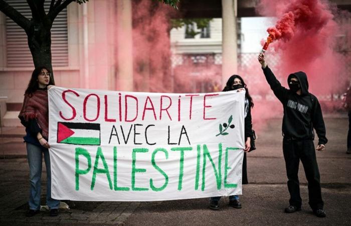 Lyon: An diesem Samstag findet eine neue Kundgebung zur Unterstützung des palästinensischen und libanesischen Volkes statt