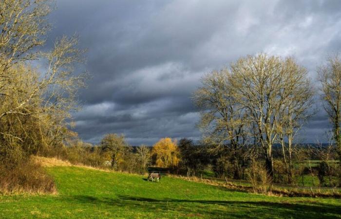 Wetter: grauer Himmel, Schauer, Sonnenschein an den Ufern des Mittelmeers, was erwartet Sie an diesem Wochenende des 11. November?