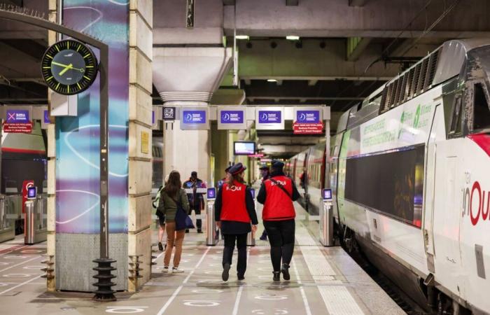 SNCF wegen Tod von Neko freigelassen, Katze von Zug zerquetscht