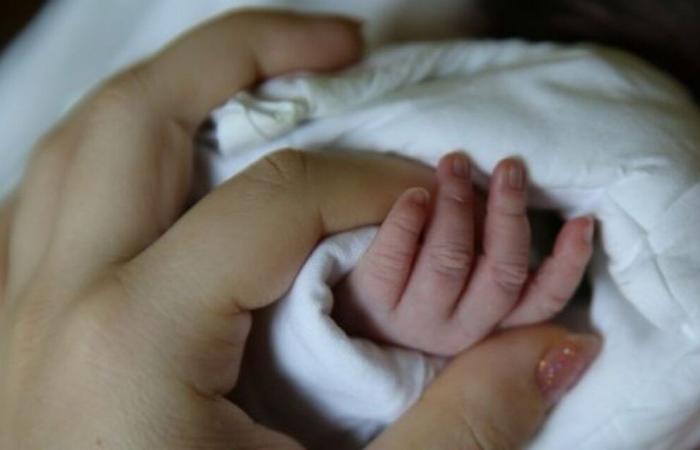 Baby in einer Mülltonne in Rennes gefunden: Ein Jahr später erwecken die Vertraulichkeiten der Mutter den Eingriff wieder zum Leben