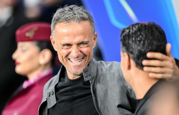 PSG: „Eine Obsession“, beruhigt Luis Enrique alle