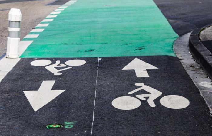 Dieser Bewohner ist gezwungen, den Radweg vor seinem Haus selbst zu reinigen