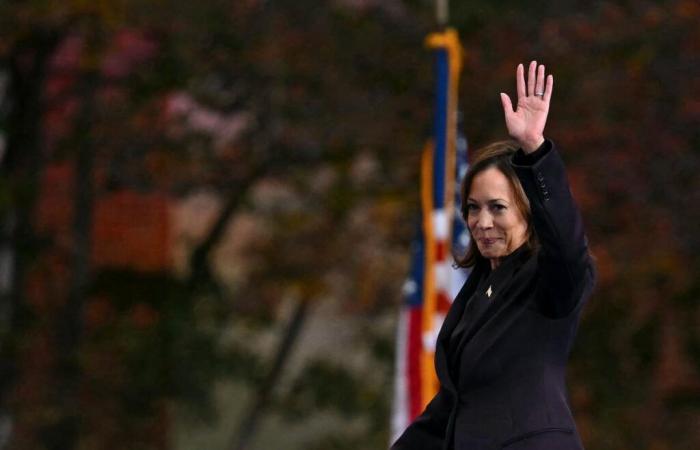 warum die amerikanische Arbeiterklasse Kamala Harris und die Demokraten im Stich gelassen hat