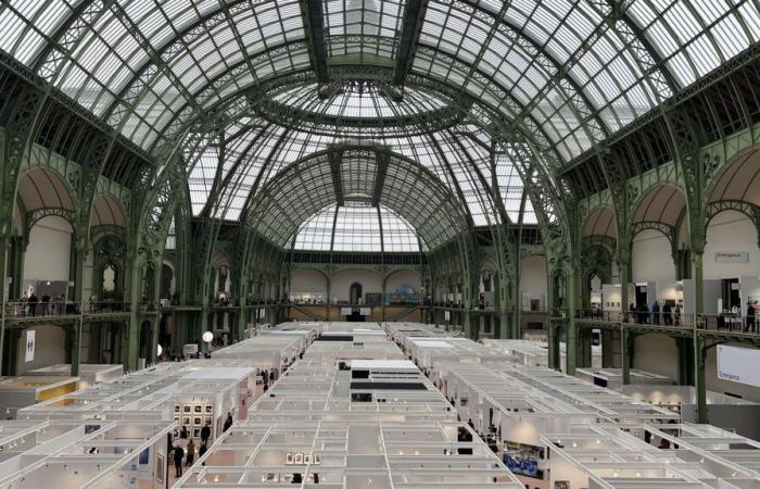 Foto von Paris: Die lang erwartete Rückkehr ins Grand Palais! | NMR