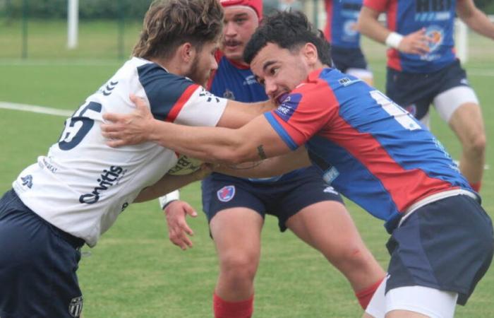 Rugby. Welche Zukunft hat der Verein Stade Dijonnais nach der Auflösung der A-Nationalmannschaft?