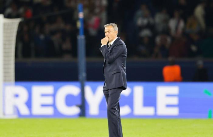 Mercato – PSG: Luis Enrique hat sich für diesen Torschützen entschieden