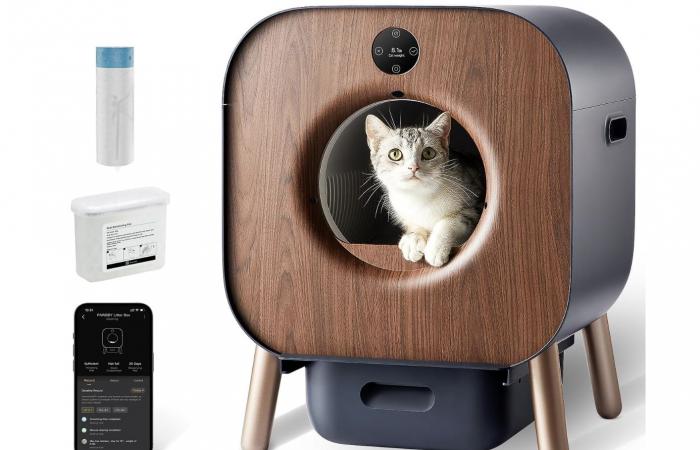 Welches ist die beste selbstreinigende Katzentoilette im Jahr 2024?