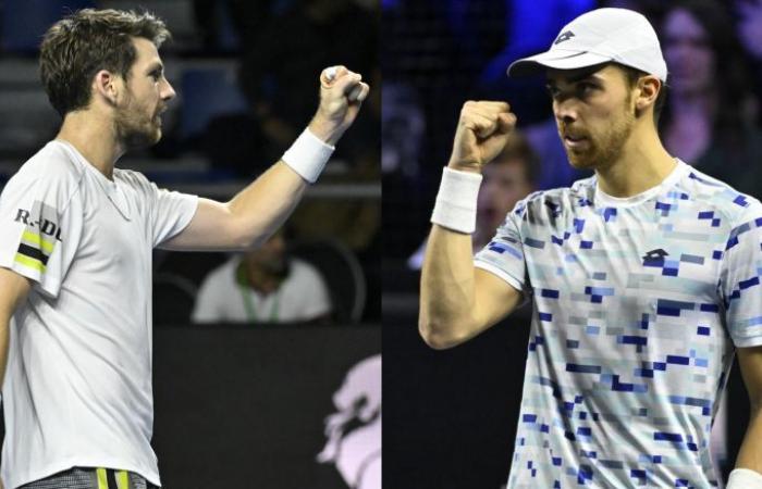 Tennis. ATP – Metz – Cameron Norrie – Benjamin Bonzi: Das Finale diesen Samstag in Moselle