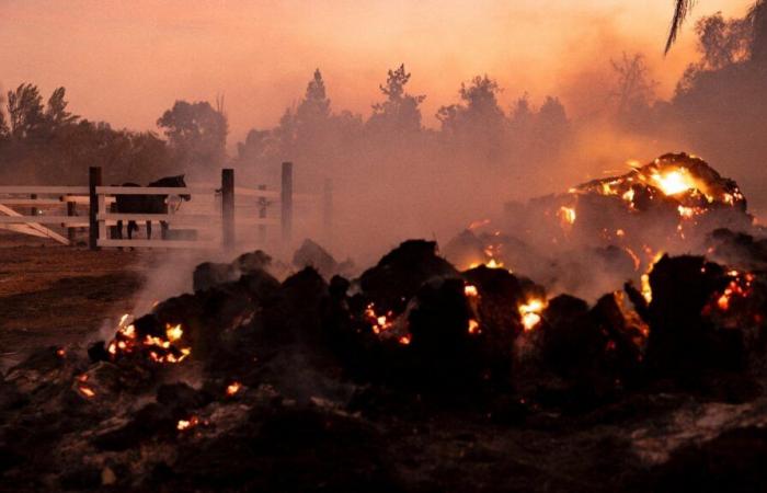 In Kalifornien kämpfen Feuerwehrleute immer noch gegen einen verheerenden Brand in der Nähe von Los Angeles