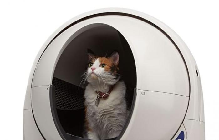 Welches ist die beste selbstreinigende Katzentoilette im Jahr 2024?