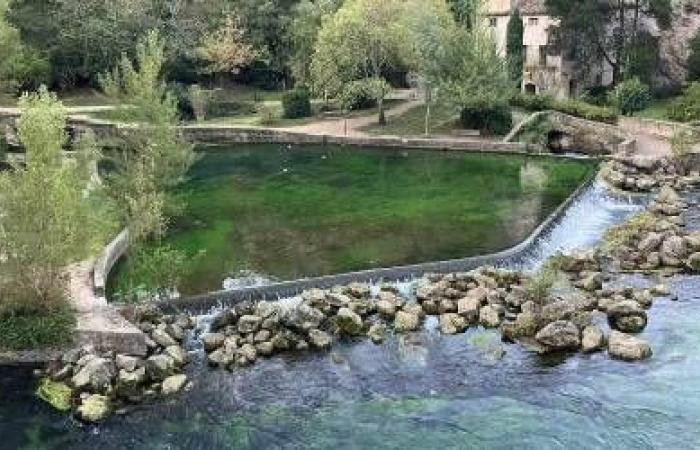 Umweltschützer aus der Provence starten ein „S.EAU.S“