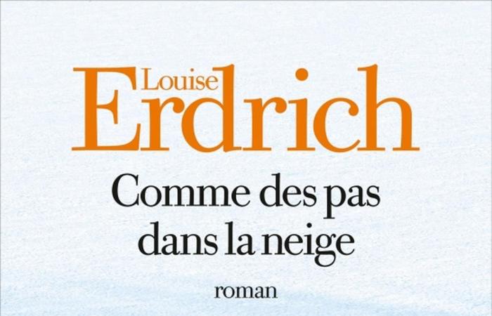 Louise Erdrich, Catherine Dufours SF, Viscontis Geister, Tangvalds Schiffswracks … Die Auswahl der „Sud Ouest“-Bücher