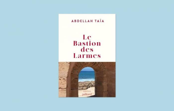 Ein Junge wie kein anderer: Rezension von „Bastion of Tears“ von Abdellah Taïa