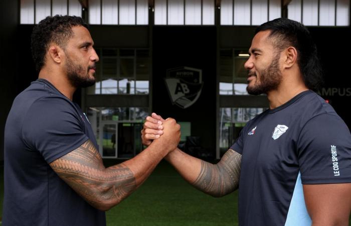 Rugby. Tuilagi und Habel-Küffner, die Samoaner von Aviron Bayonnais, entziffern ihre Tätowierungen für „Raffut“