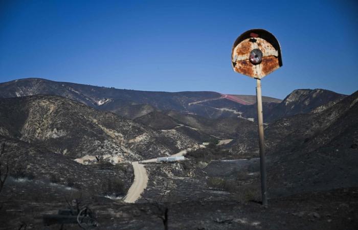 In Bildern. Feuerwehrleute gewinnen bei verheerendem Feuer in der Nähe von Los Angeles an Boden