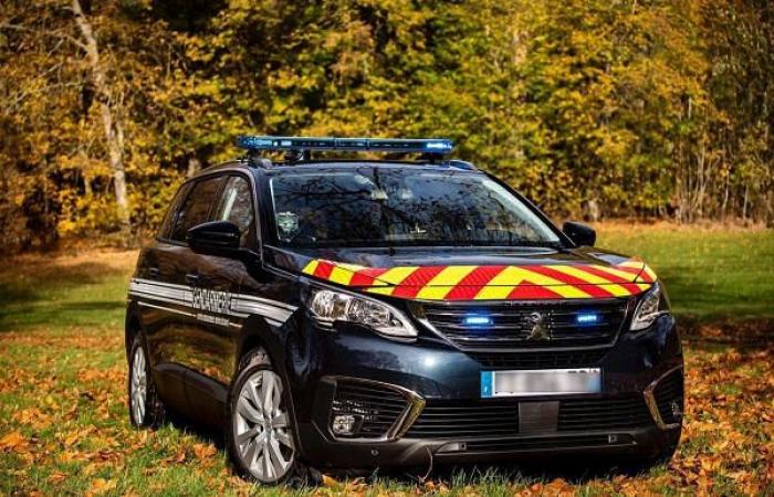 Die Umweltstrafe „belastet“ den Haushalt der Gendarmerie, der für den Kauf neuer Fahrzeuge vorgesehen ist