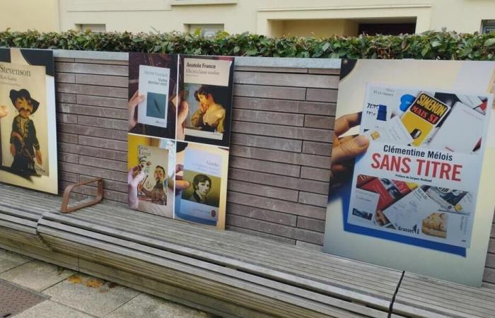 Saint-Sébastien-sur-Loire. Einhundert umgeleitete Buchtitel zum Entdecken von Allée d’Anjou