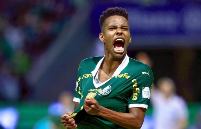 Estevão arbeitet weiterhin mit den Computern in Brésil – Brasileirão – J33 – Palmeiras-Grêmio