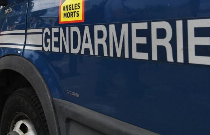 Loiret. Mann mit Stichwunden tot aufgefunden, Sohn verletzt