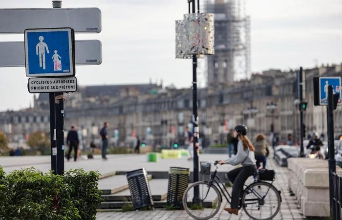 Radfahrer versus Autofahrer, Worte von Lesern