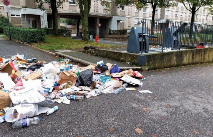 Baby in einem Mülleimer in Rennes gefunden. Mutter erstattet Anzeige wegen Vergewaltigung gegen Vater, bestätigt ihr Anwalt