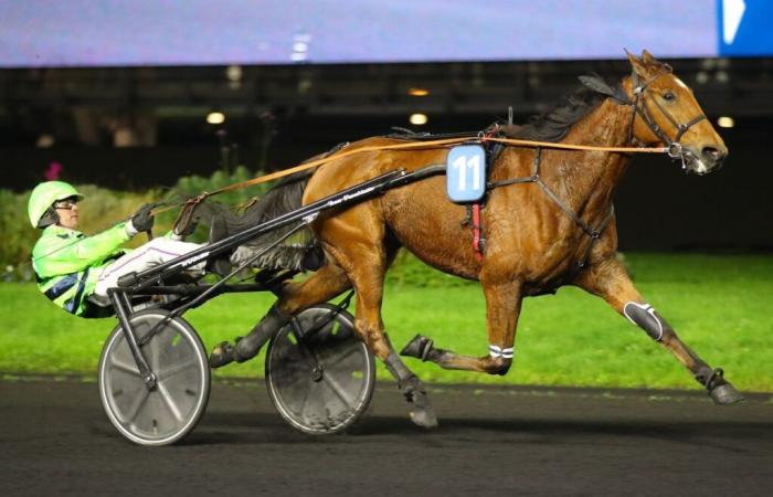 Lunabella d’Omaha gewinnt mit Théo Duvaldestin ihre erste Gruppe III