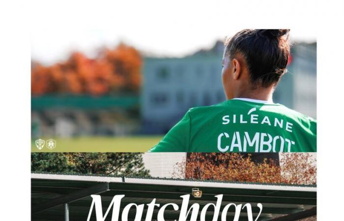 AS Saint Etienne gegen FC Fleury 91, vor dem Spiel.