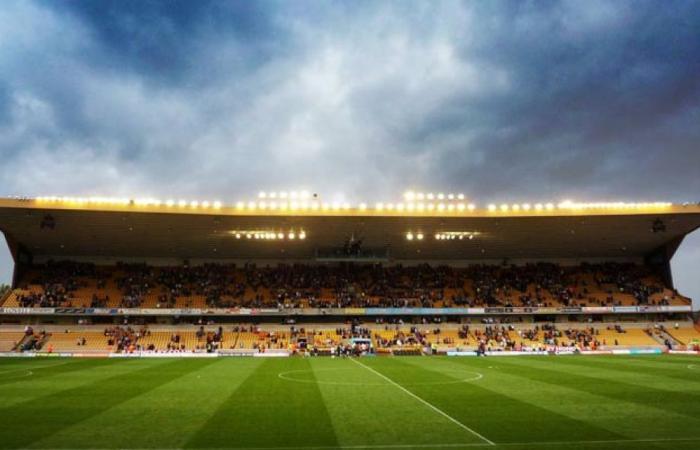 DIREKT. Wolverhampton-Southampton (Premier League 2024-2025) live verfolgen