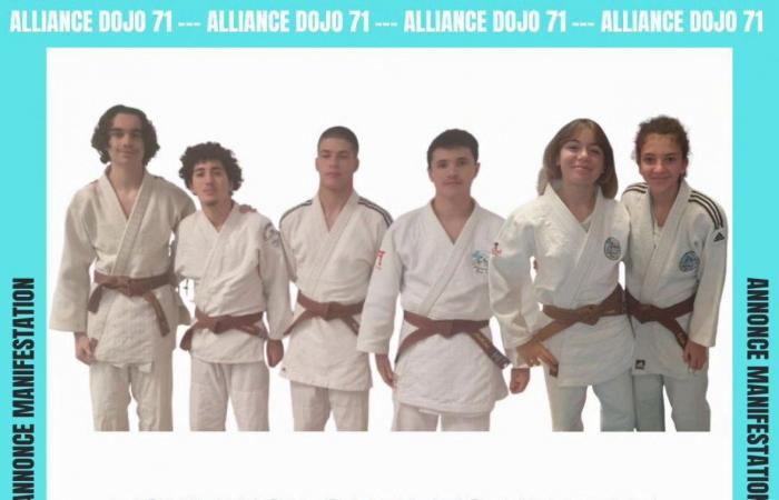 JUDO: Die Kadetten des Alliance Dojo 71 bei einem Turnier in Riorges