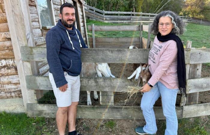 Dieser Manager eines Parks in Lot-et-Garonne spricht über die harte Realität des Berufs des Tierpflegers