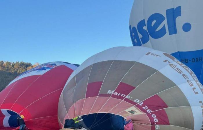 Fliegen Sie mit einem Heißluftballon über das Loiretal